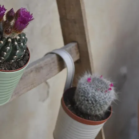 Dimora Epode' Syracuse