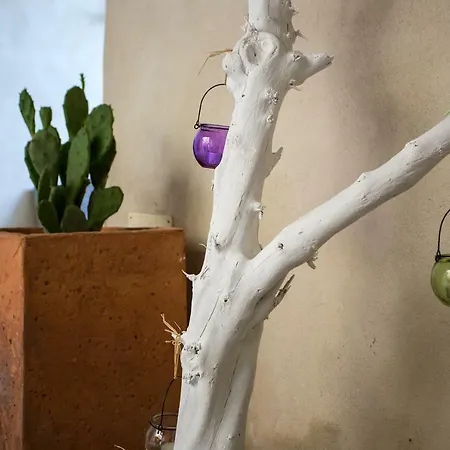 Daire Dimora Epode' *