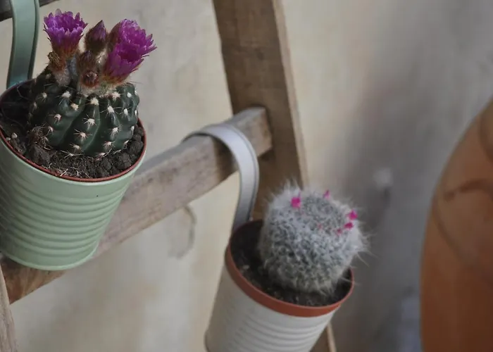 Dimora Epode' Syracuse